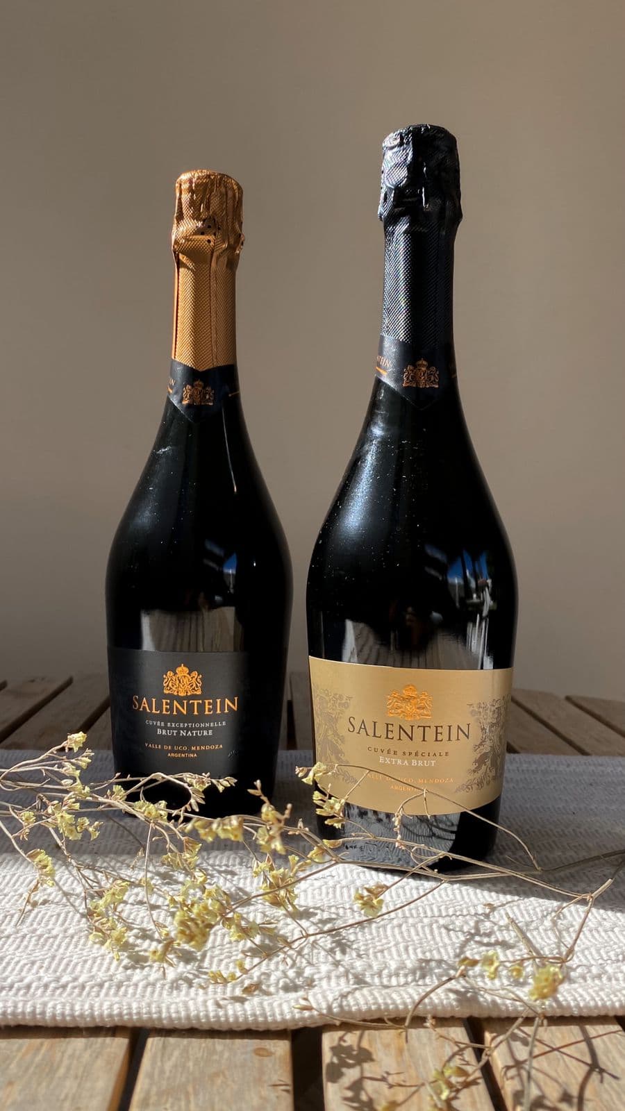 Salentein brut nature