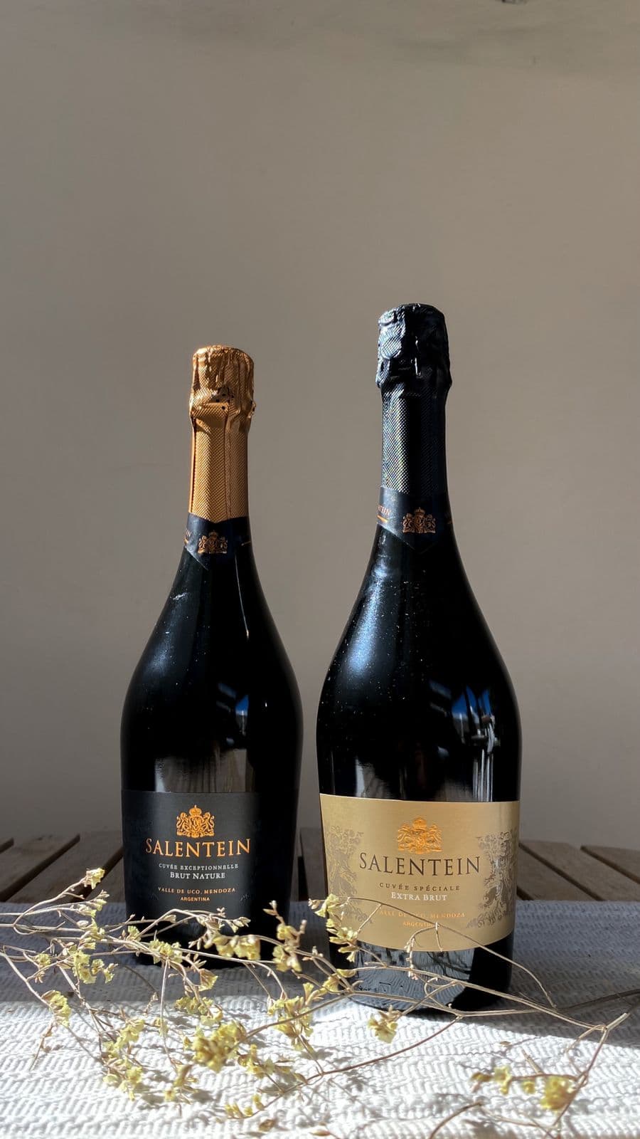 Salentein extra brut