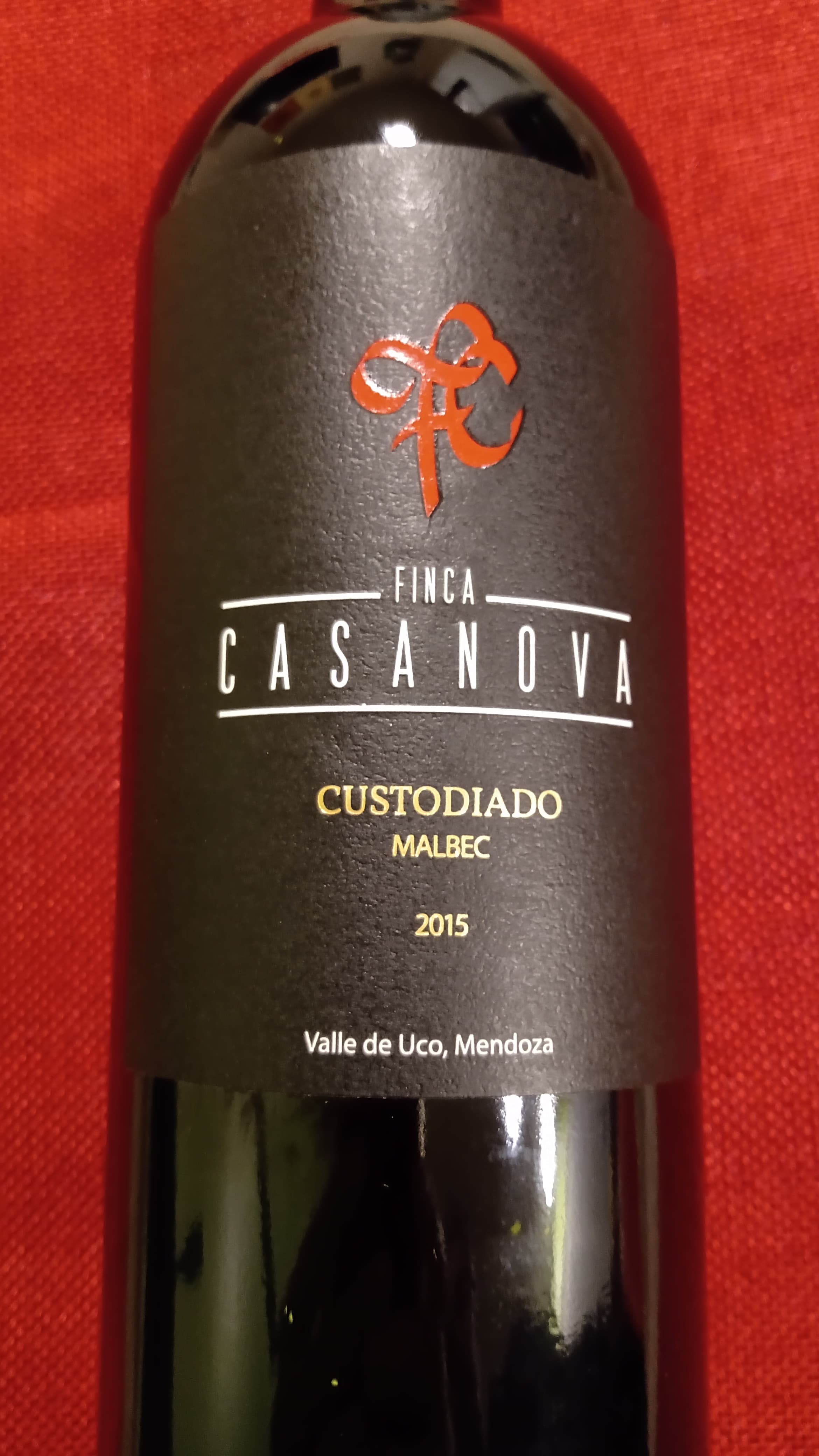 Casanova Custodiado 2015